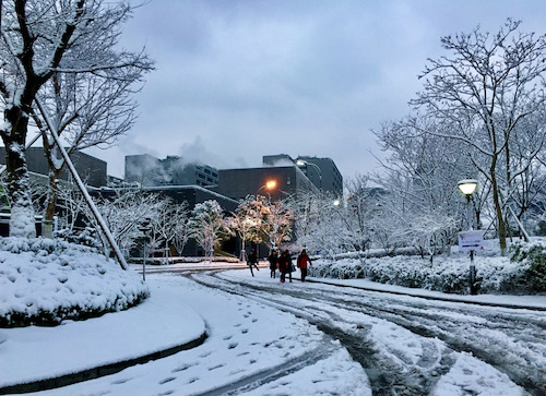 雪