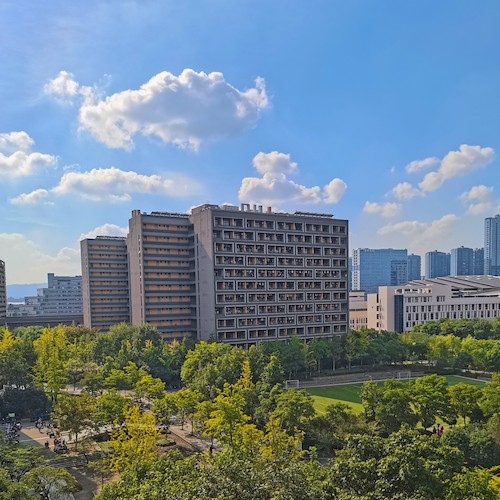 阳光下的寝室楼