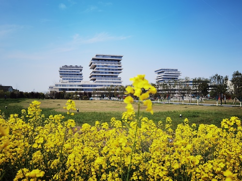 59建校115周年+手机和相机+诗画校园+外国语学院+佟彦君+13357126909I (2)