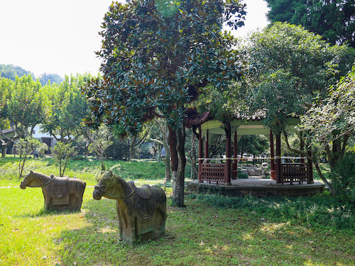 校园风景